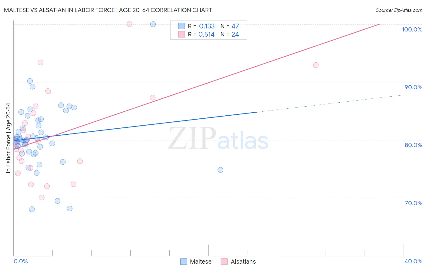 Maltese vs Alsatian In Labor Force | Age 20-64