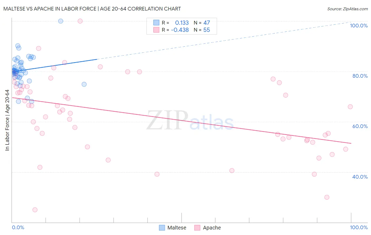 Maltese vs Apache In Labor Force | Age 20-64