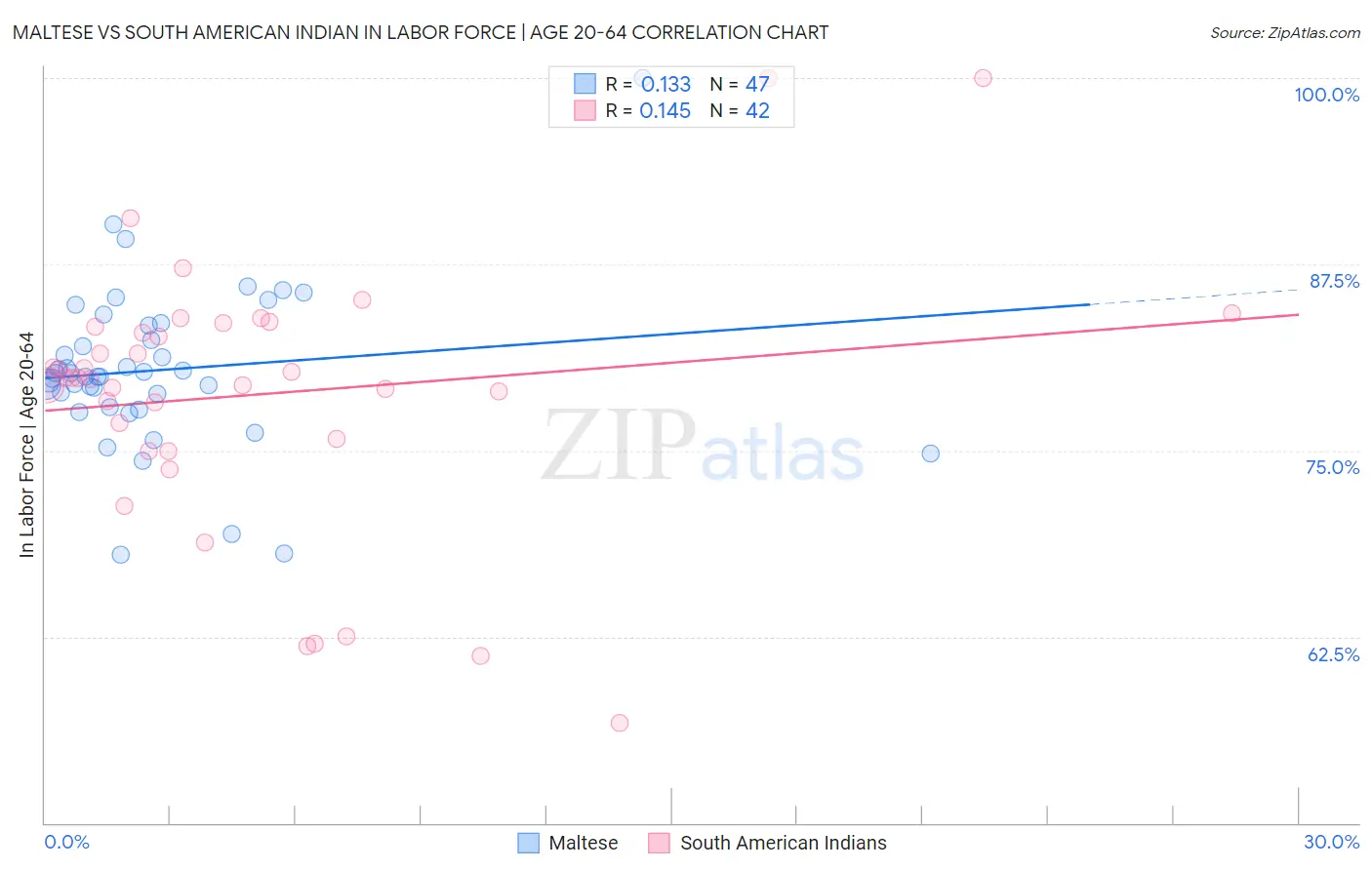 Maltese vs South American Indian In Labor Force | Age 20-64