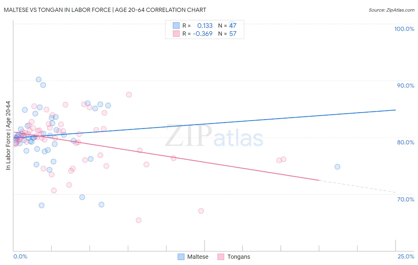 Maltese vs Tongan In Labor Force | Age 20-64