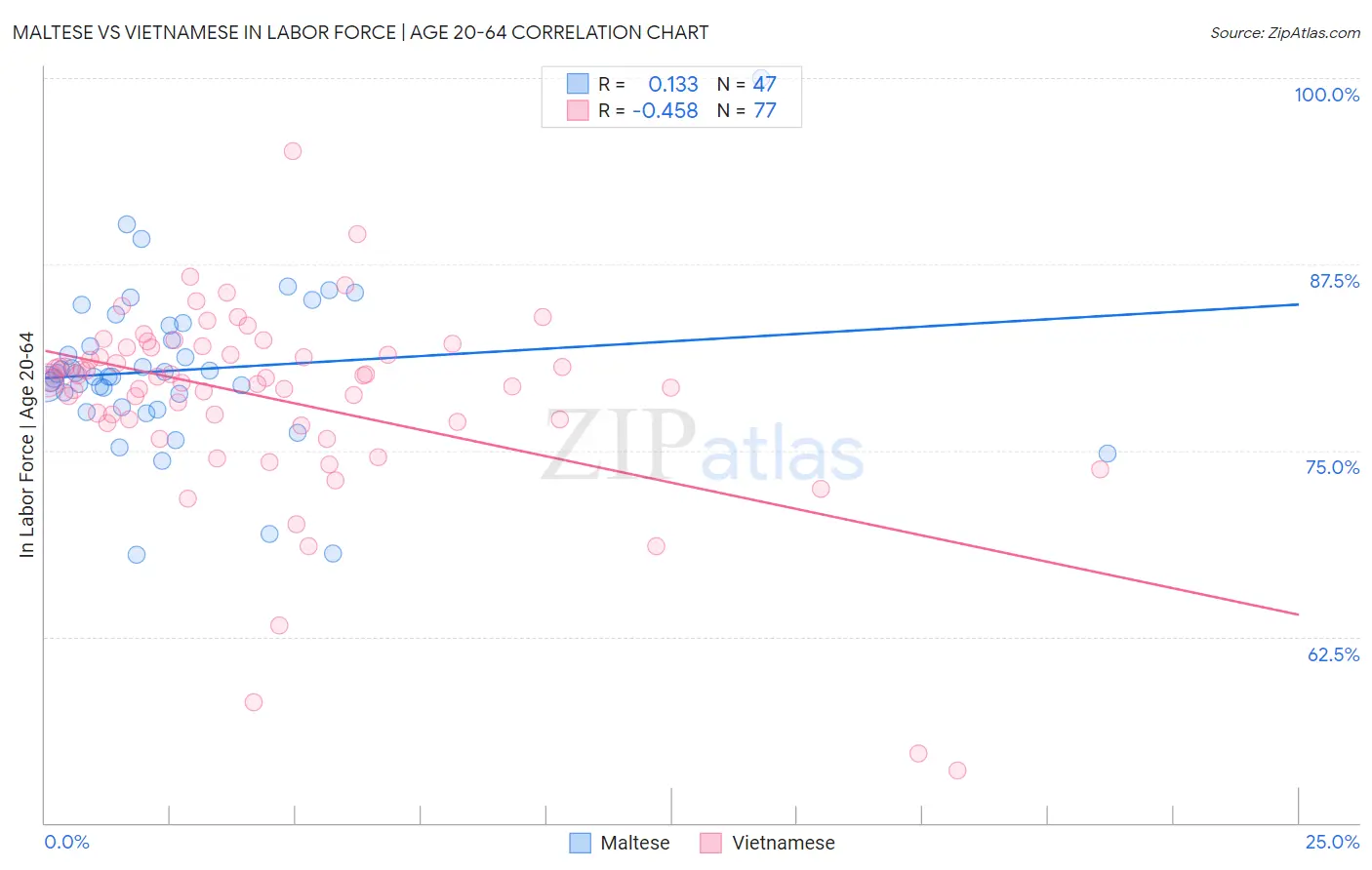 Maltese vs Vietnamese In Labor Force | Age 20-64
