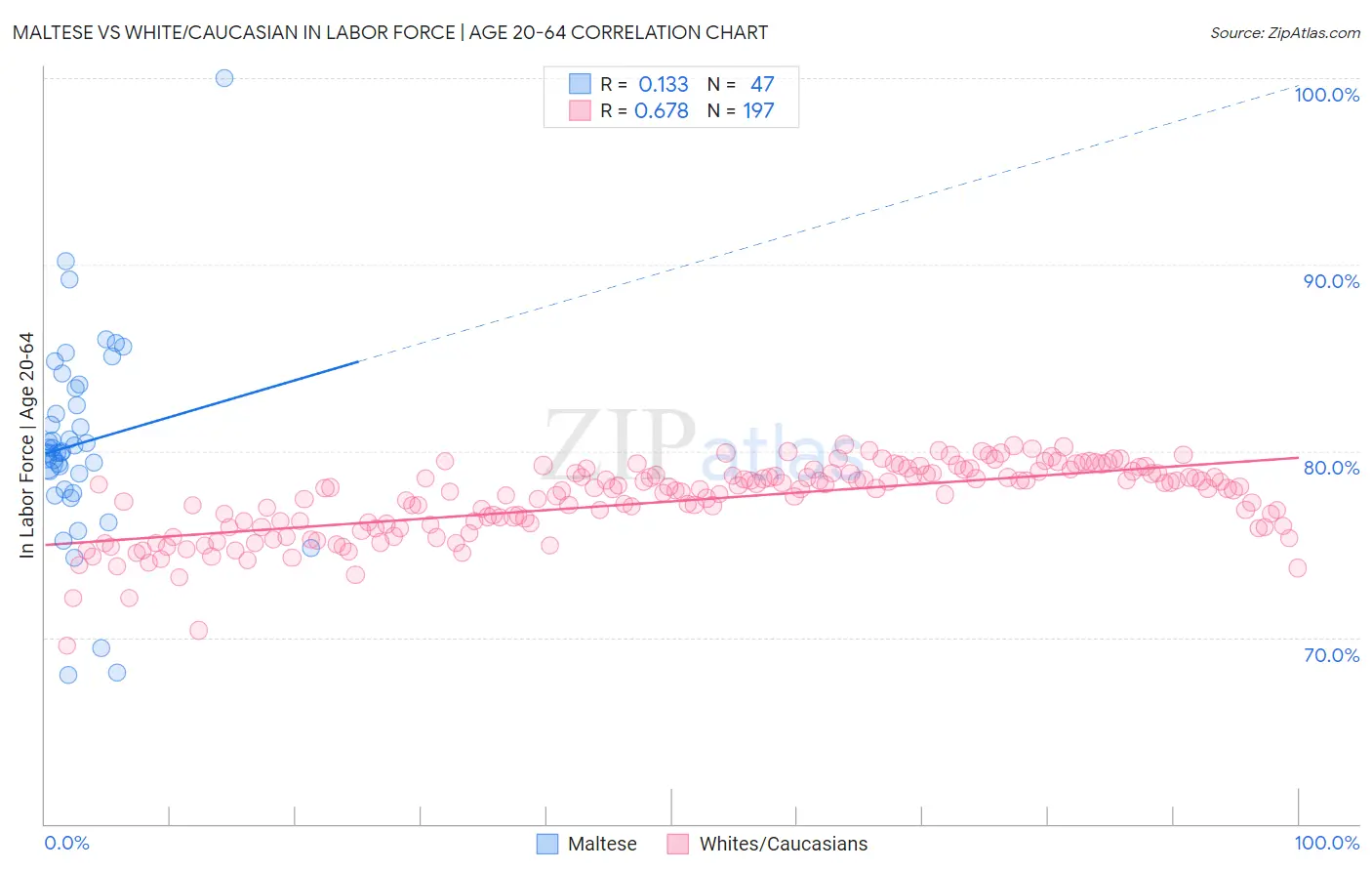 Maltese vs White/Caucasian In Labor Force | Age 20-64
