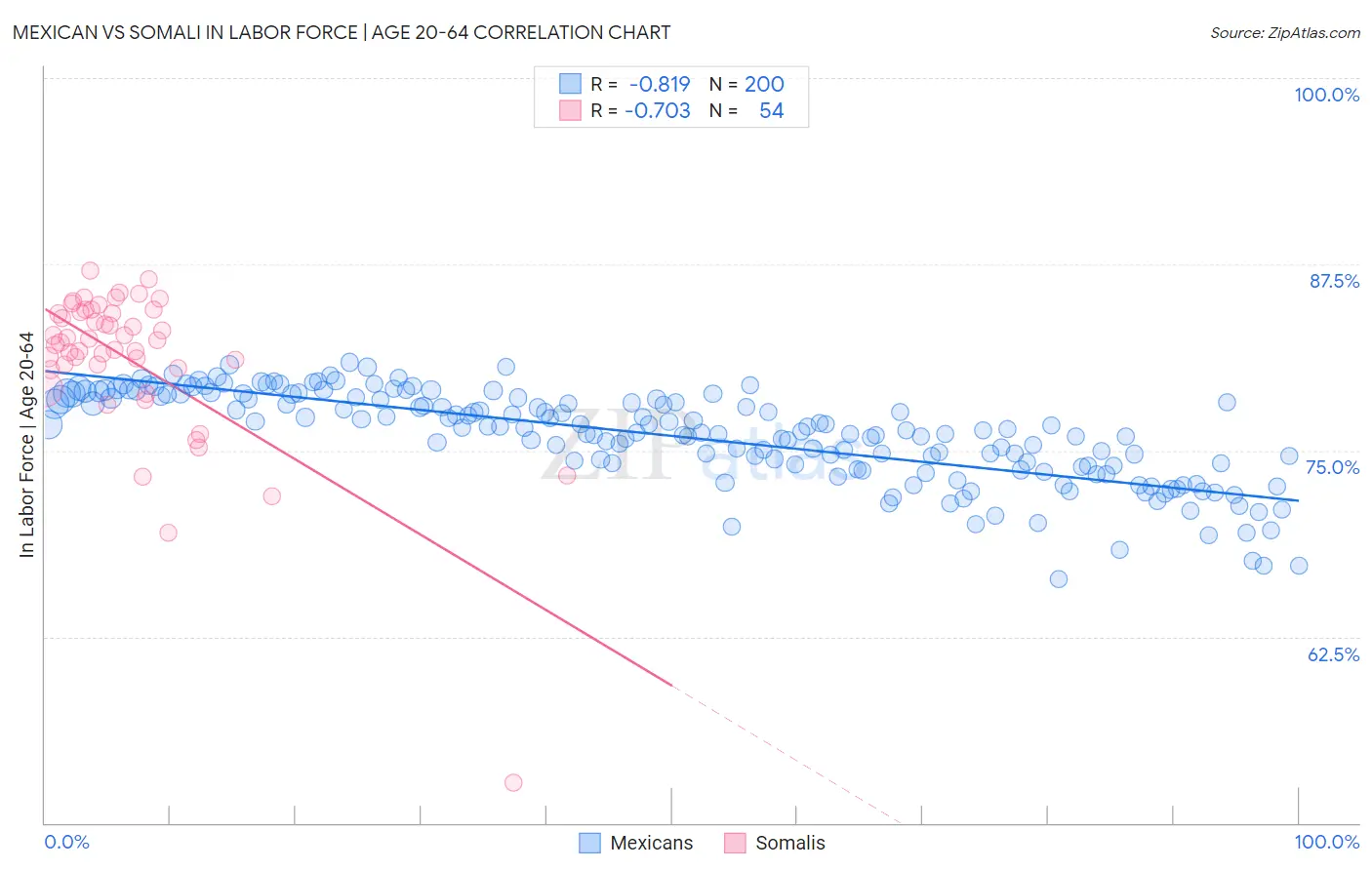 Mexican vs Somali In Labor Force | Age 20-64