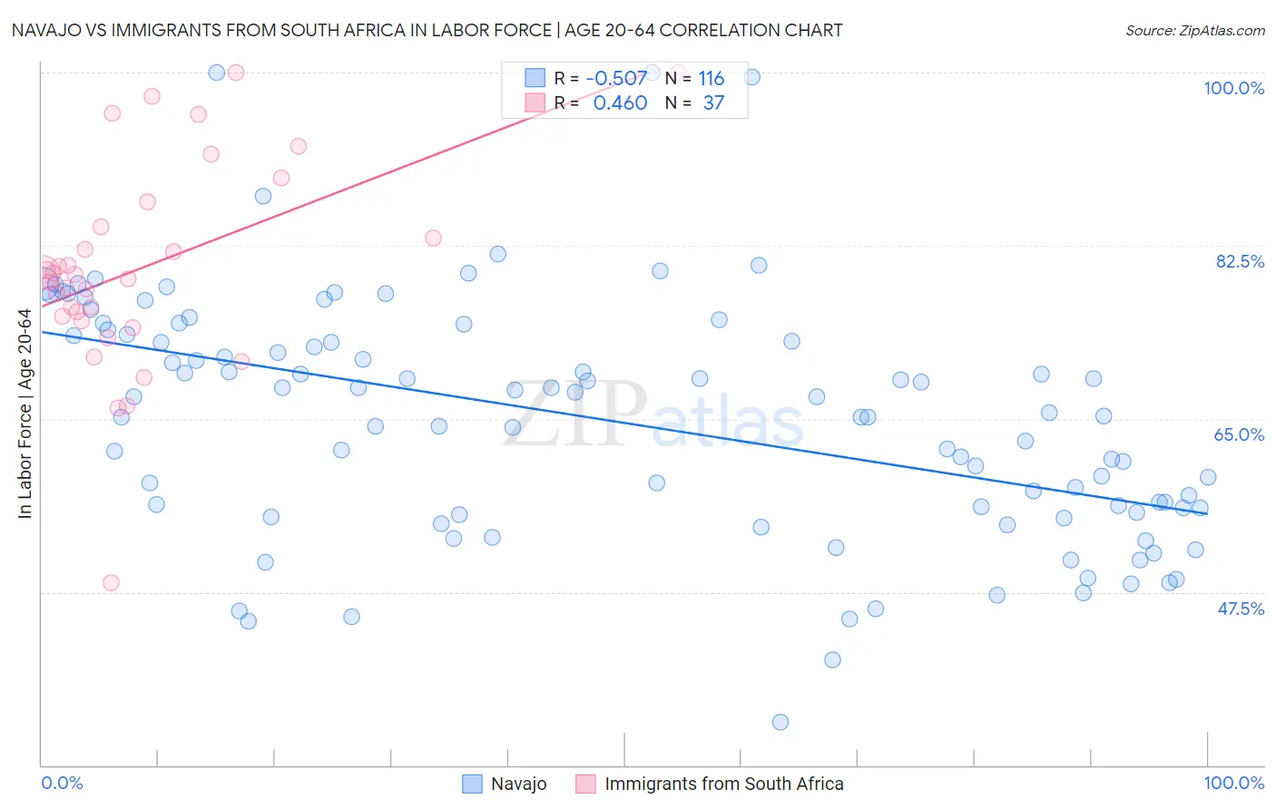 Navajo vs Immigrants from South Africa In Labor Force | Age 20-64