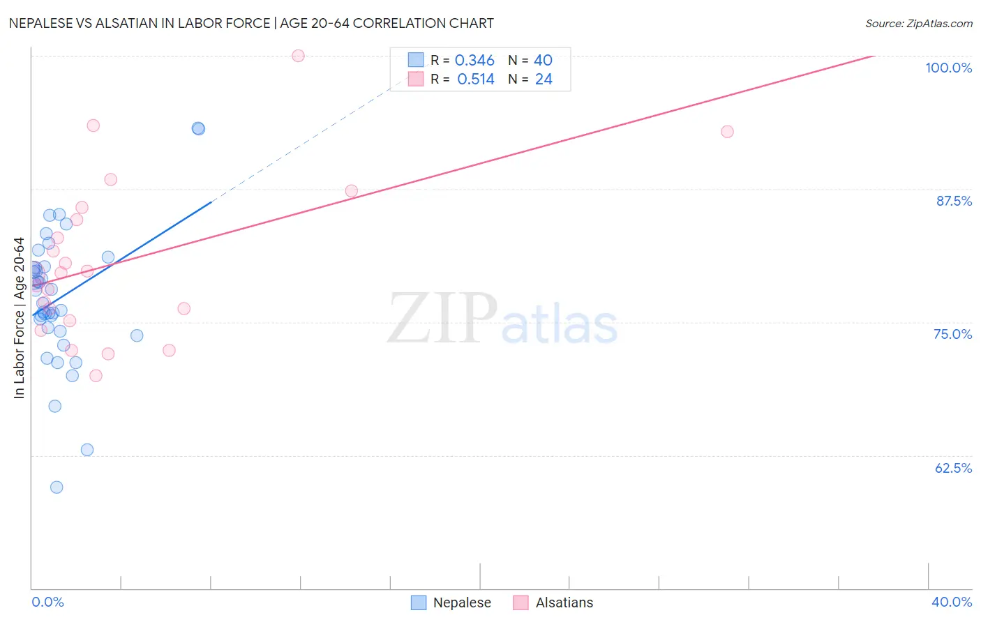 Nepalese vs Alsatian In Labor Force | Age 20-64
