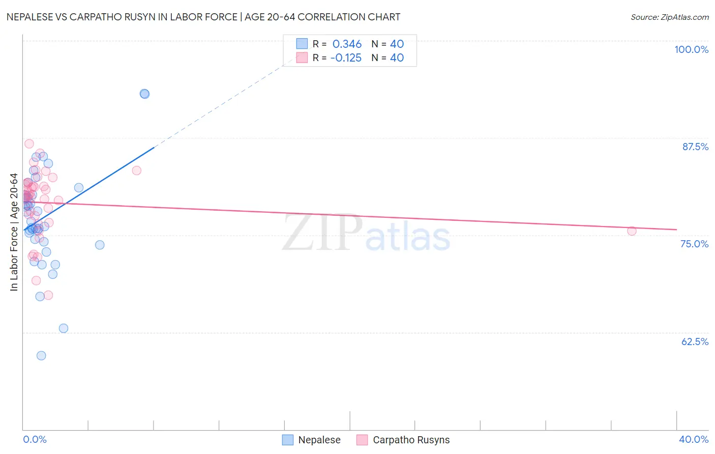 Nepalese vs Carpatho Rusyn In Labor Force | Age 20-64