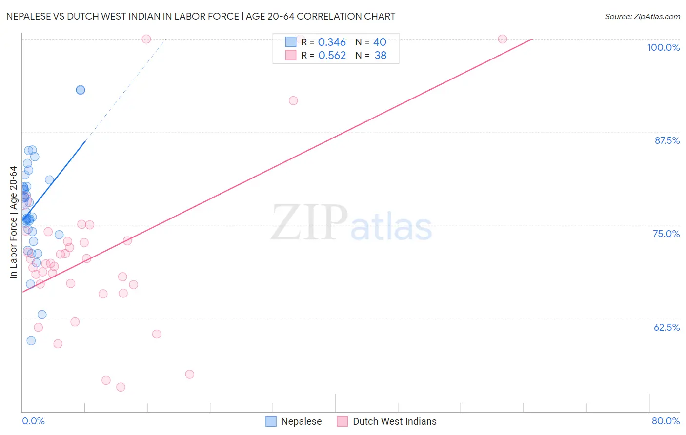Nepalese vs Dutch West Indian In Labor Force | Age 20-64