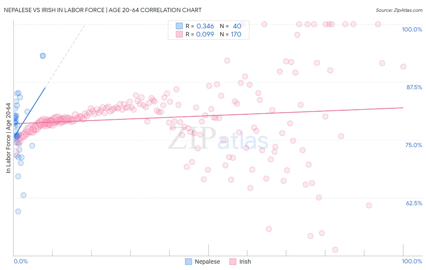 Nepalese vs Irish In Labor Force | Age 20-64