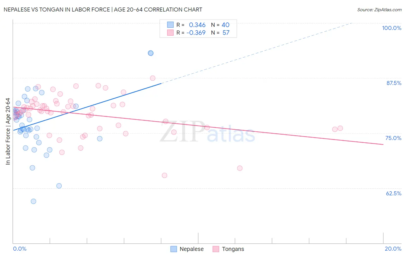 Nepalese vs Tongan In Labor Force | Age 20-64