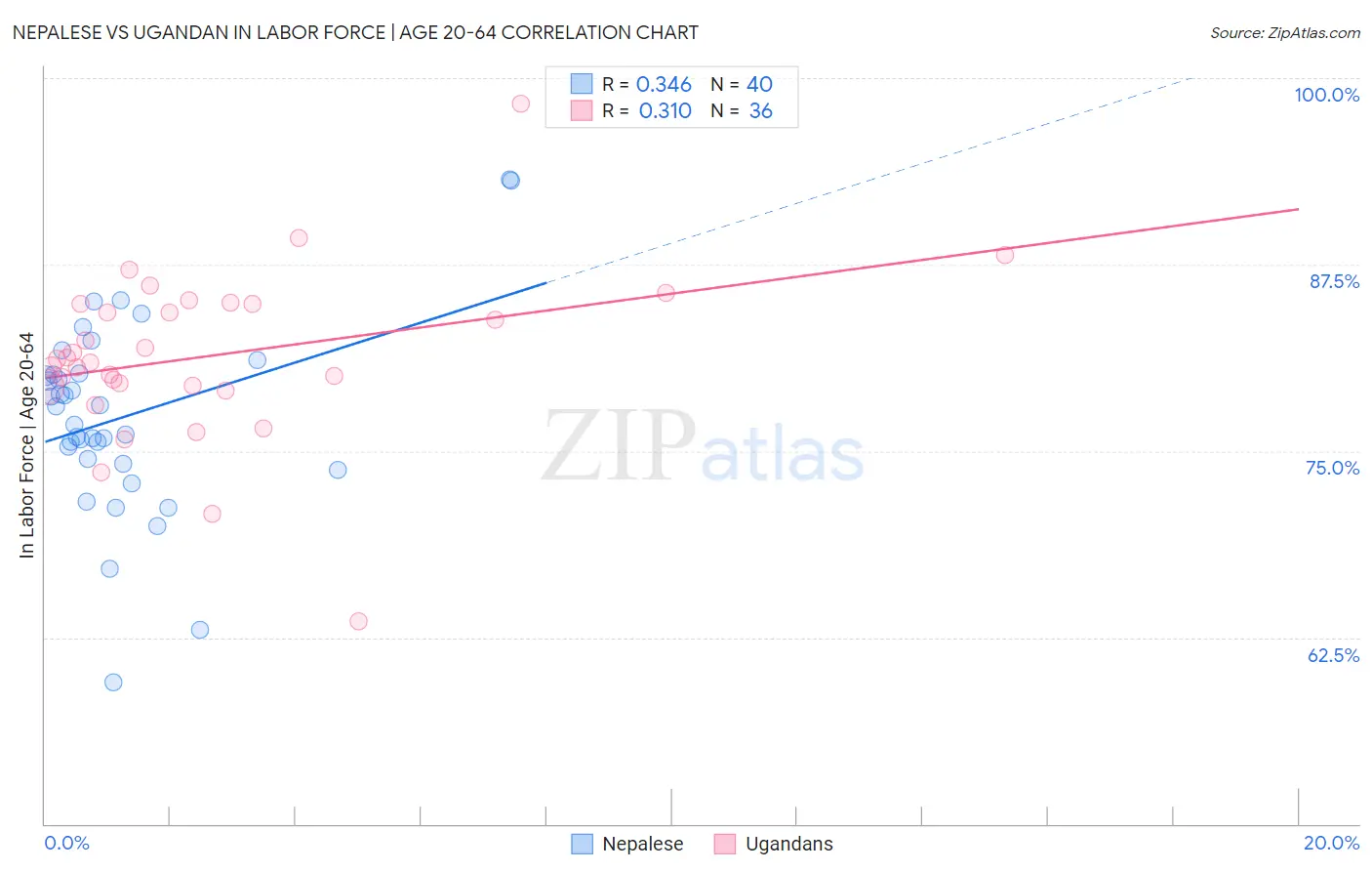 Nepalese vs Ugandan In Labor Force | Age 20-64