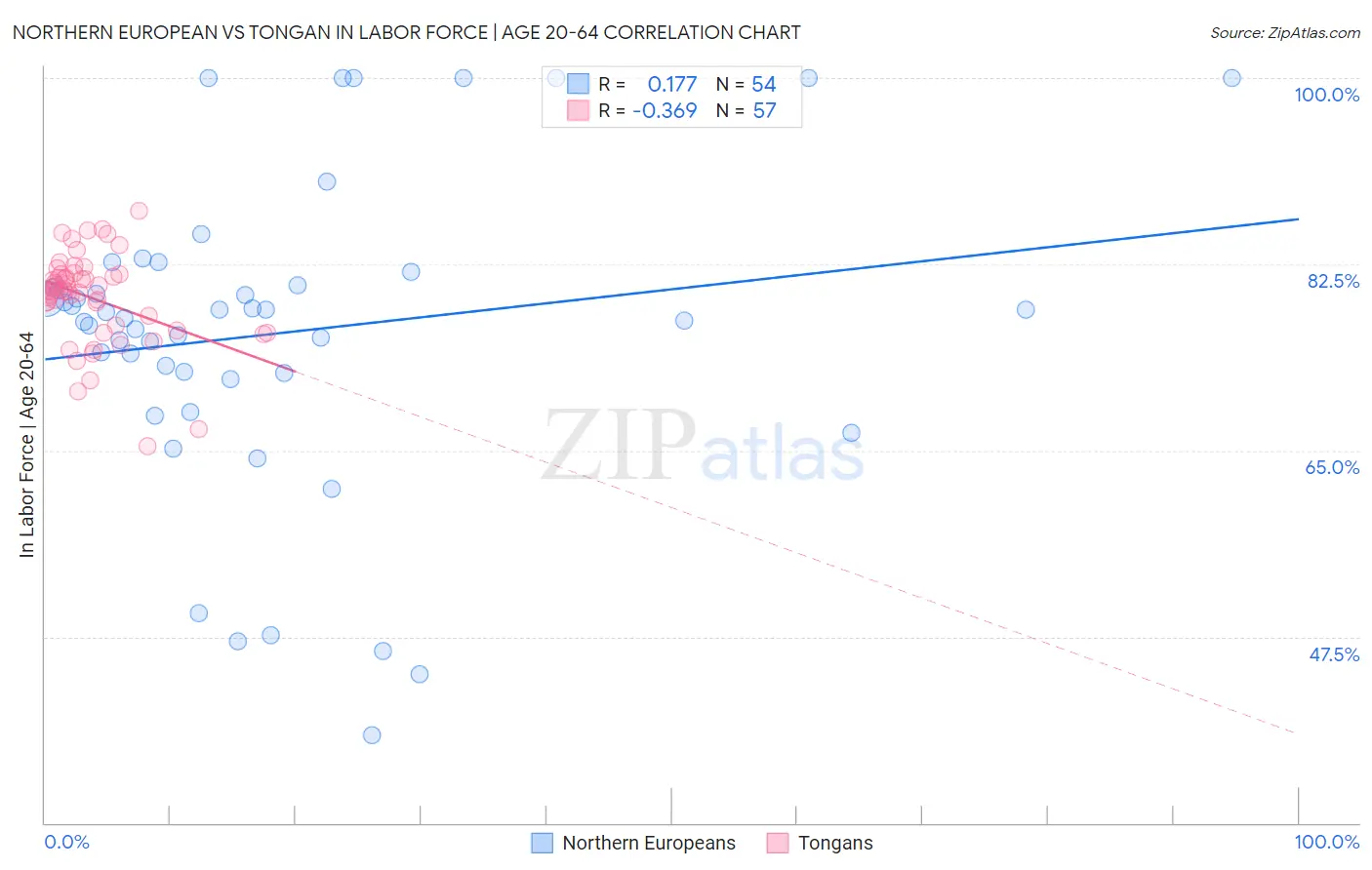 Northern European vs Tongan In Labor Force | Age 20-64