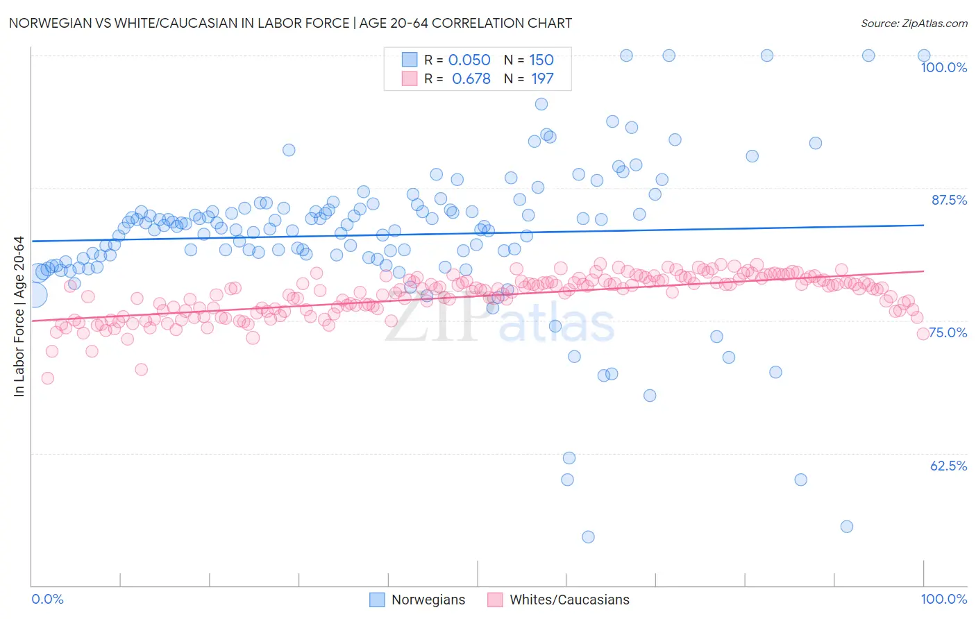 Norwegian vs White/Caucasian In Labor Force | Age 20-64