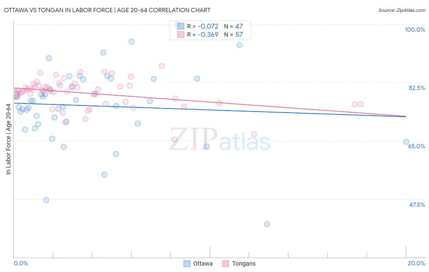Ottawa vs Tongan In Labor Force | Age 20-64