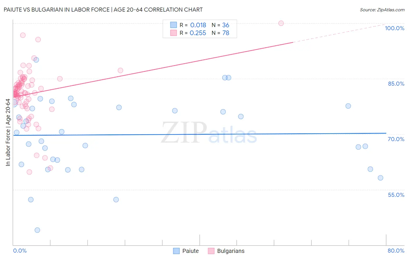 Paiute vs Bulgarian In Labor Force | Age 20-64