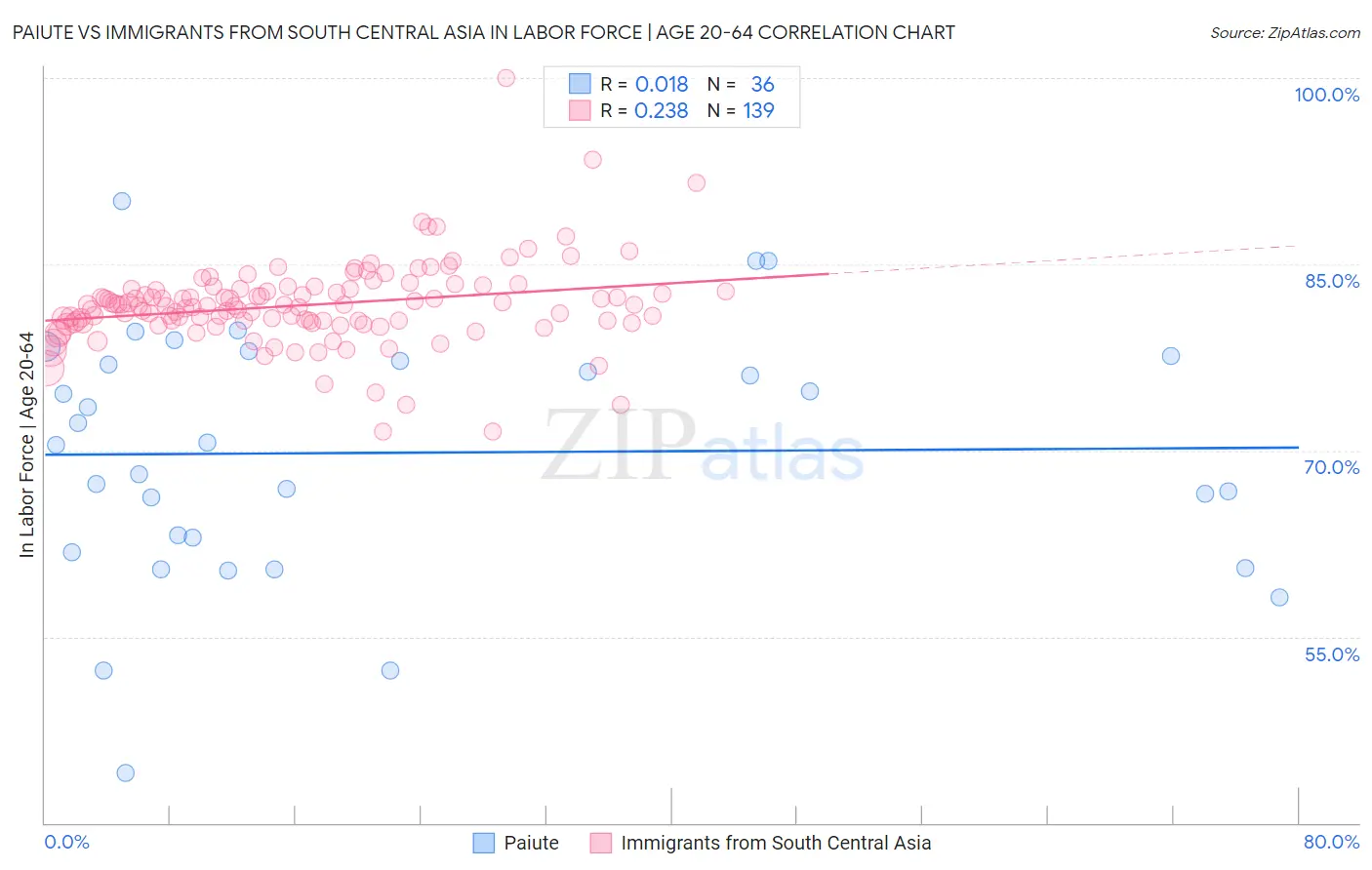 Paiute vs Immigrants from South Central Asia In Labor Force | Age 20-64