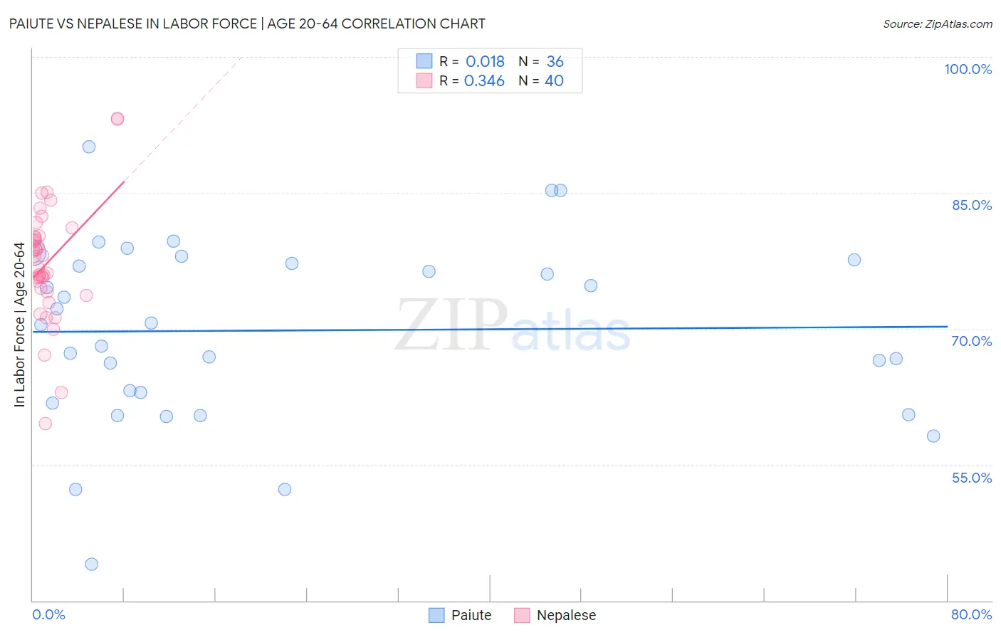 Paiute vs Nepalese In Labor Force | Age 20-64