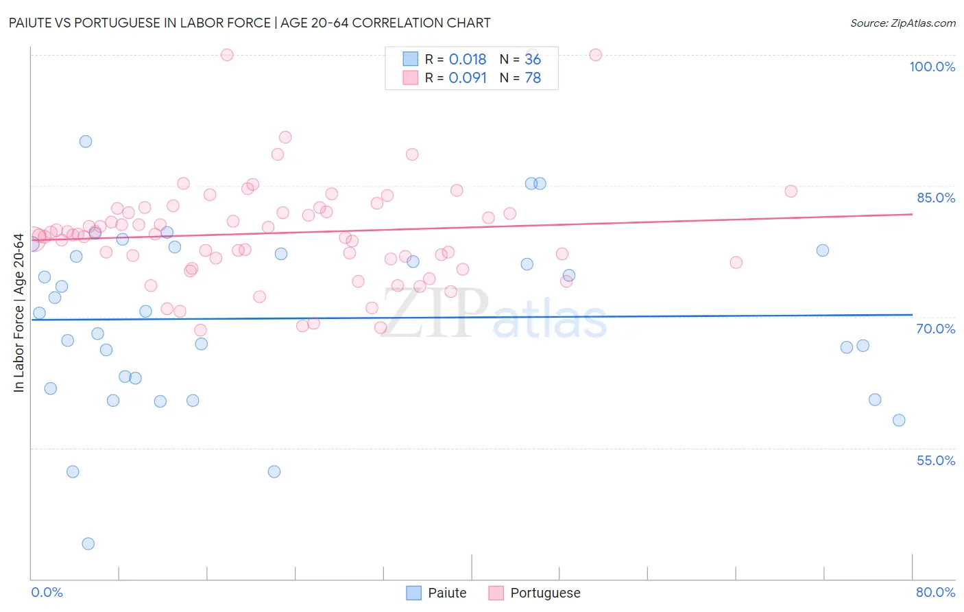 Paiute vs Portuguese In Labor Force | Age 20-64