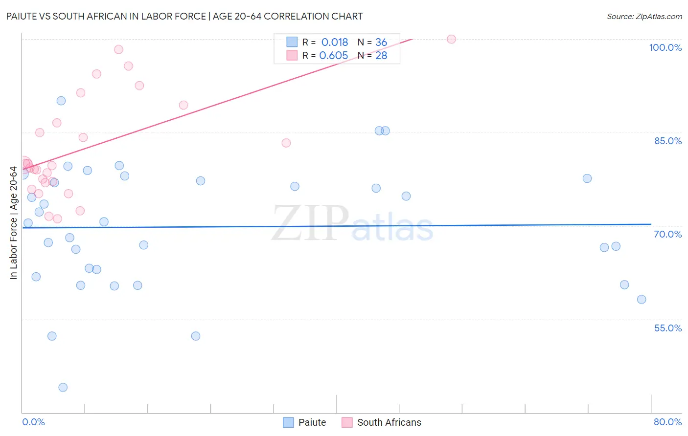 Paiute vs South African In Labor Force | Age 20-64