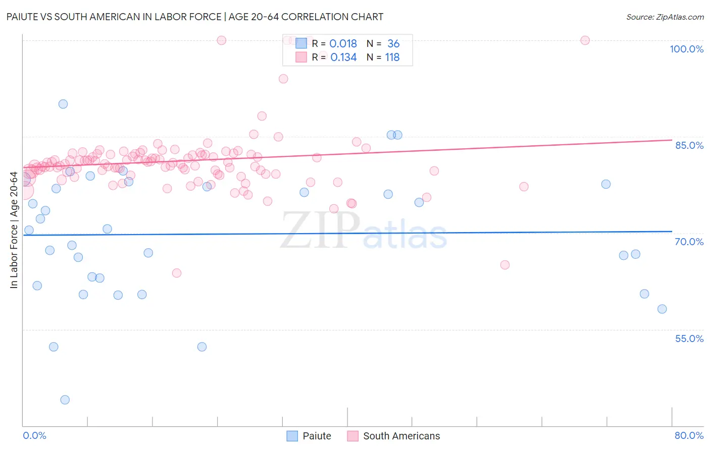 Paiute vs South American In Labor Force | Age 20-64