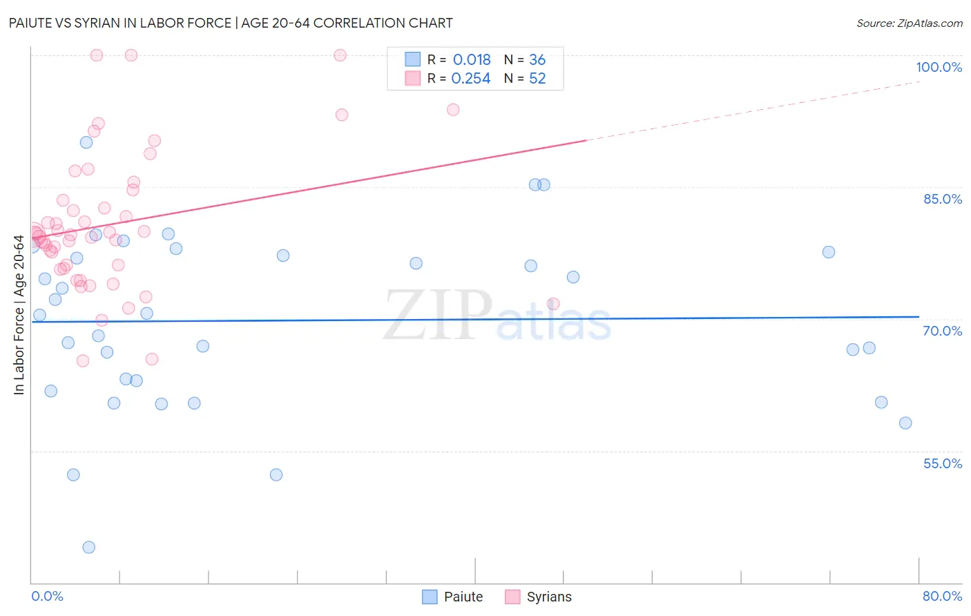 Paiute vs Syrian In Labor Force | Age 20-64