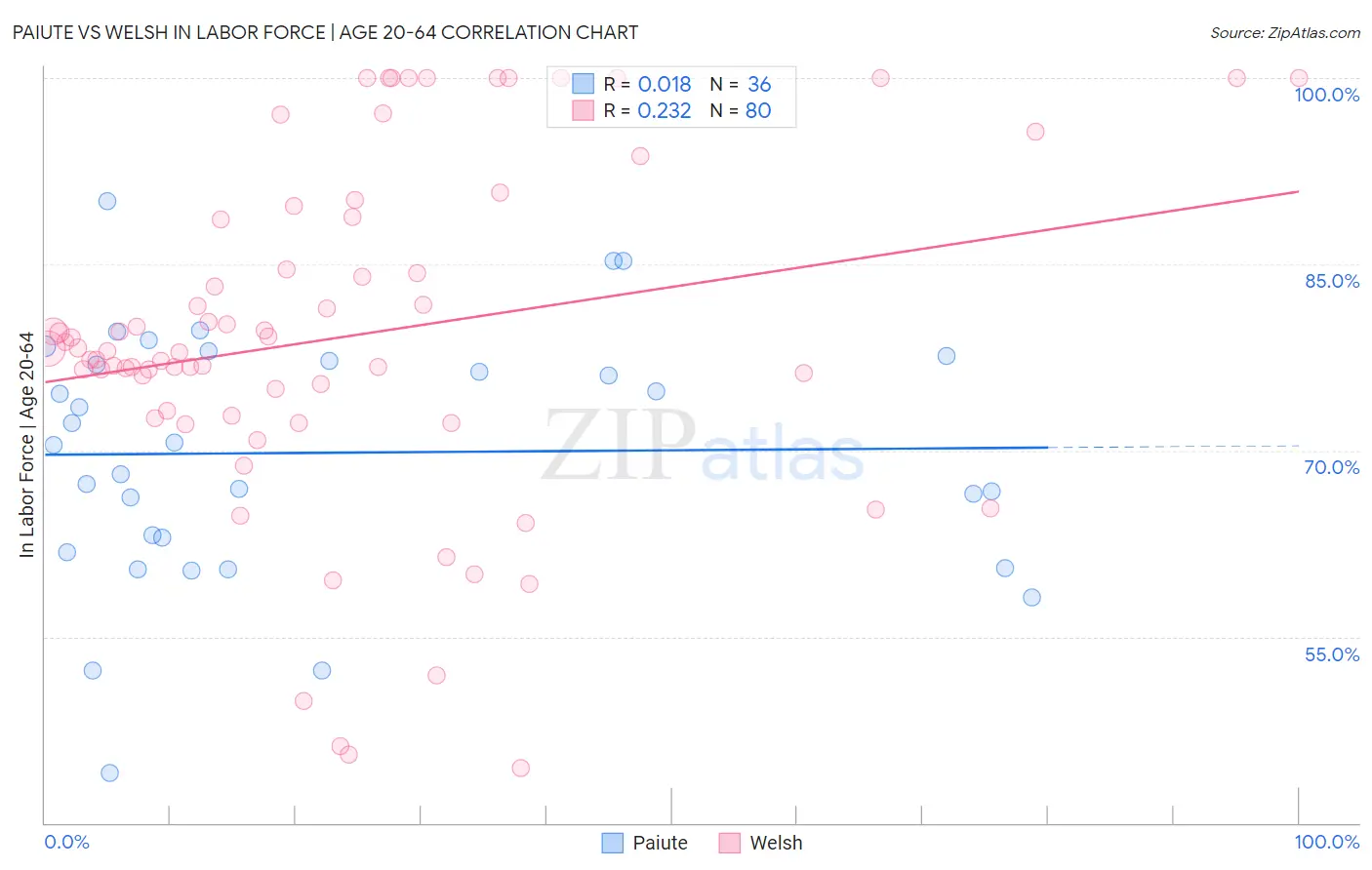 Paiute vs Welsh In Labor Force | Age 20-64