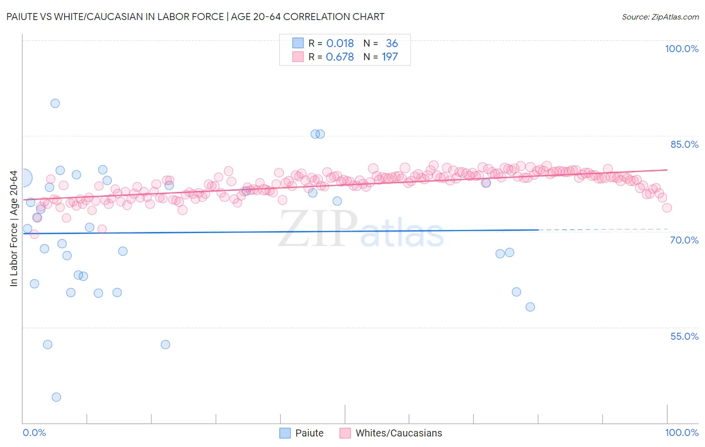 Paiute vs White/Caucasian In Labor Force | Age 20-64