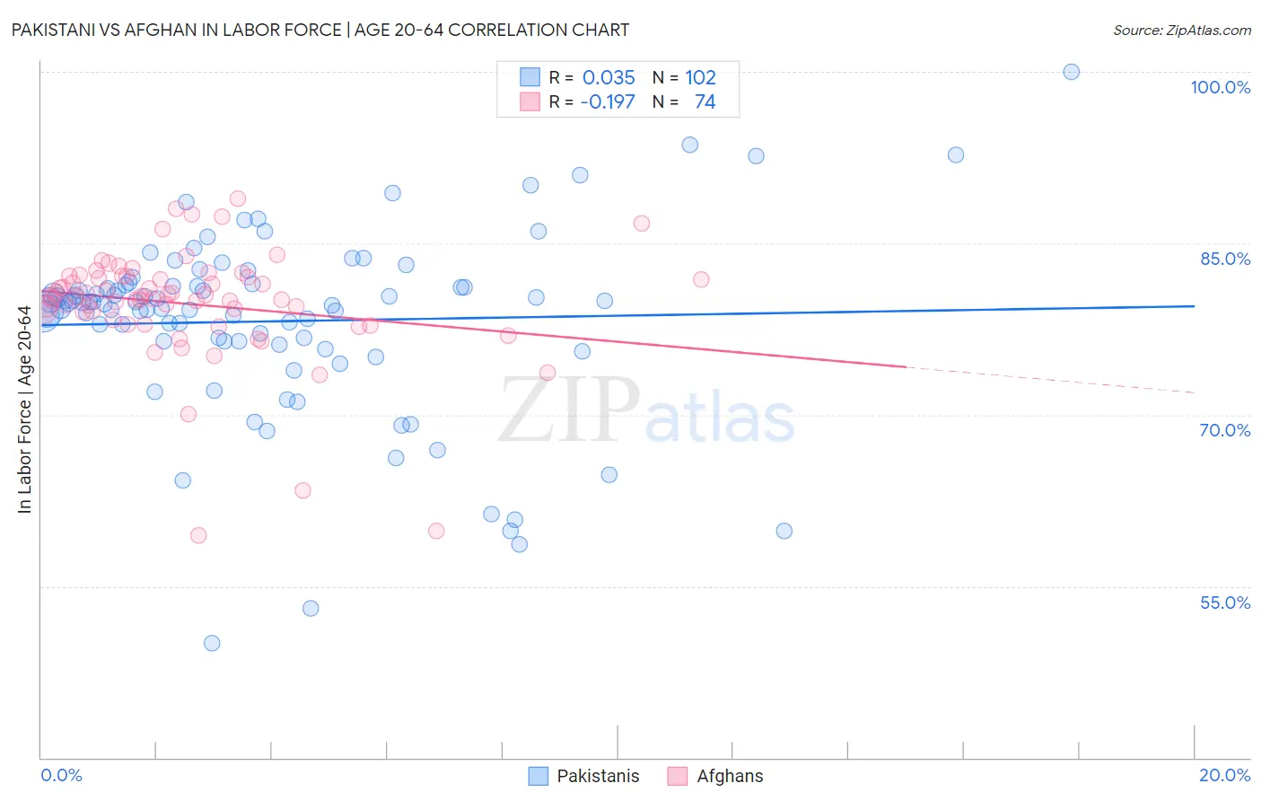 Pakistani vs Afghan In Labor Force | Age 20-64