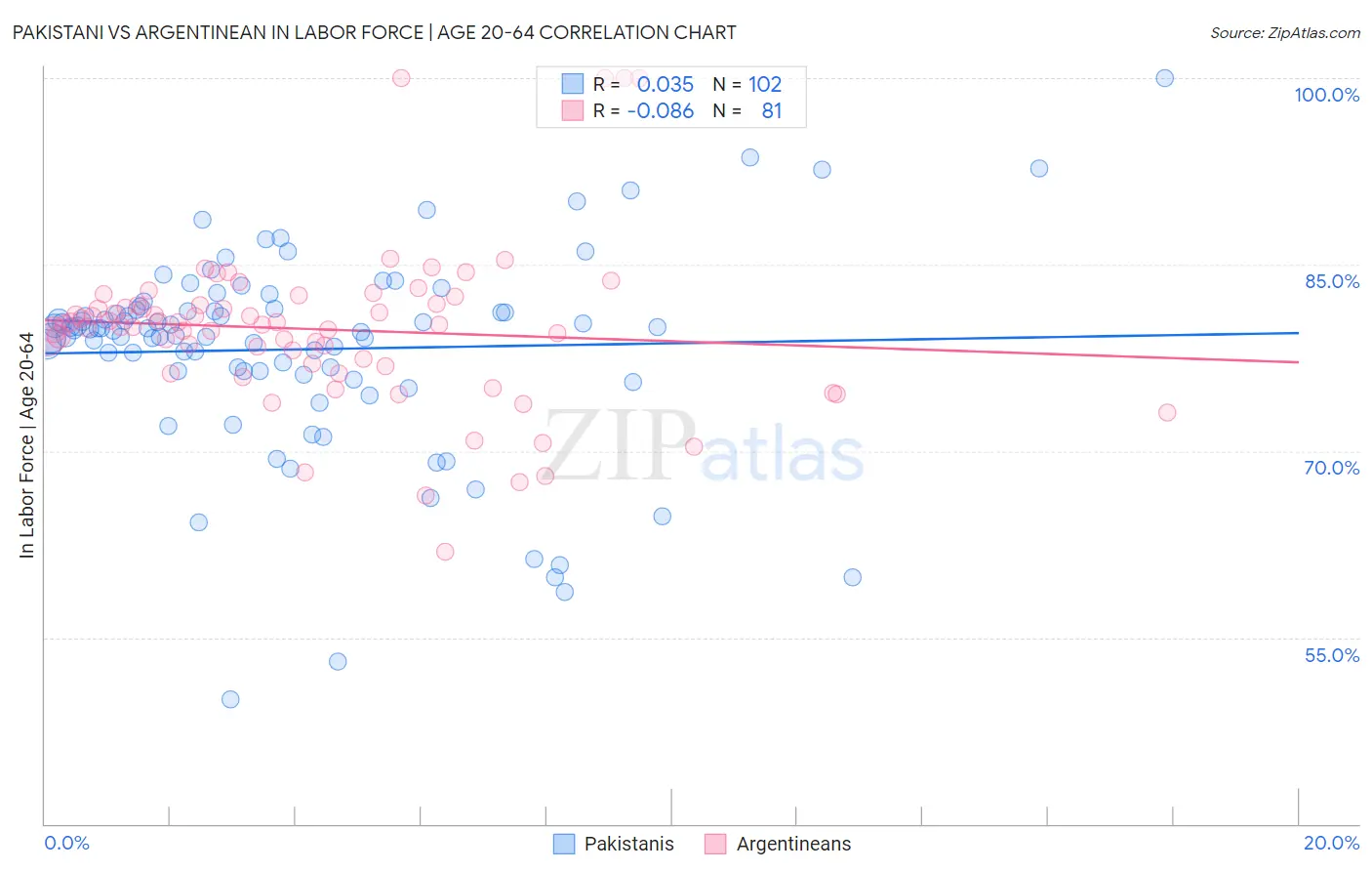 Pakistani vs Argentinean In Labor Force | Age 20-64