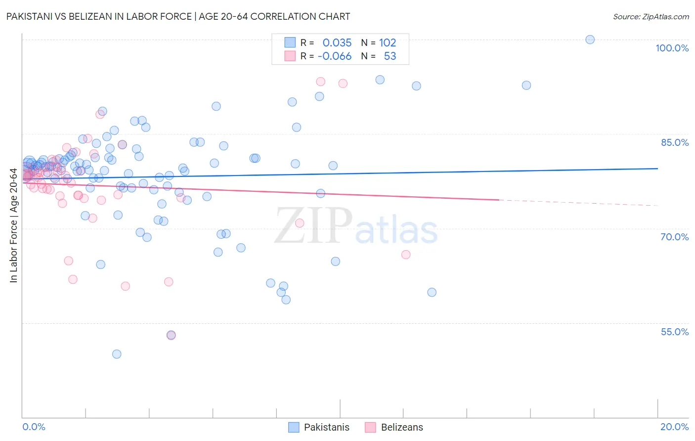 Pakistani vs Belizean In Labor Force | Age 20-64