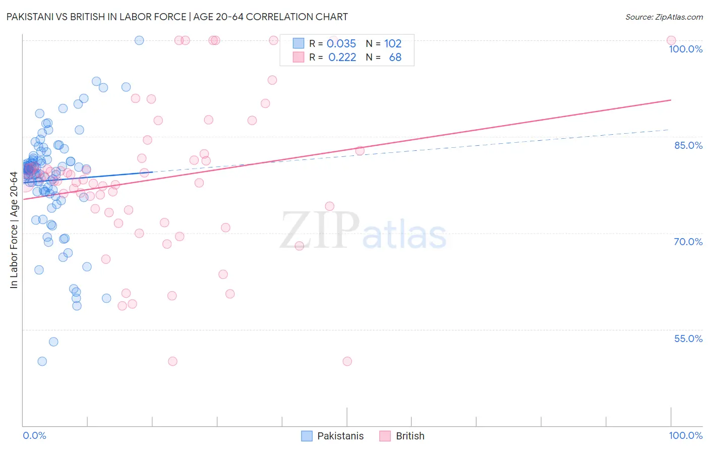 Pakistani vs British In Labor Force | Age 20-64