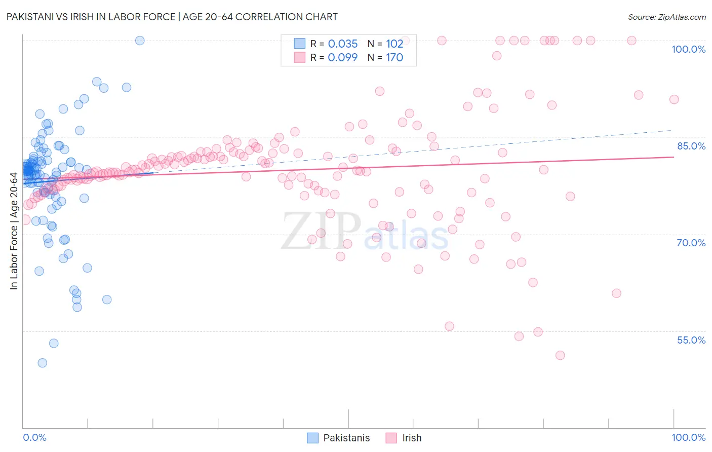 Pakistani vs Irish In Labor Force | Age 20-64