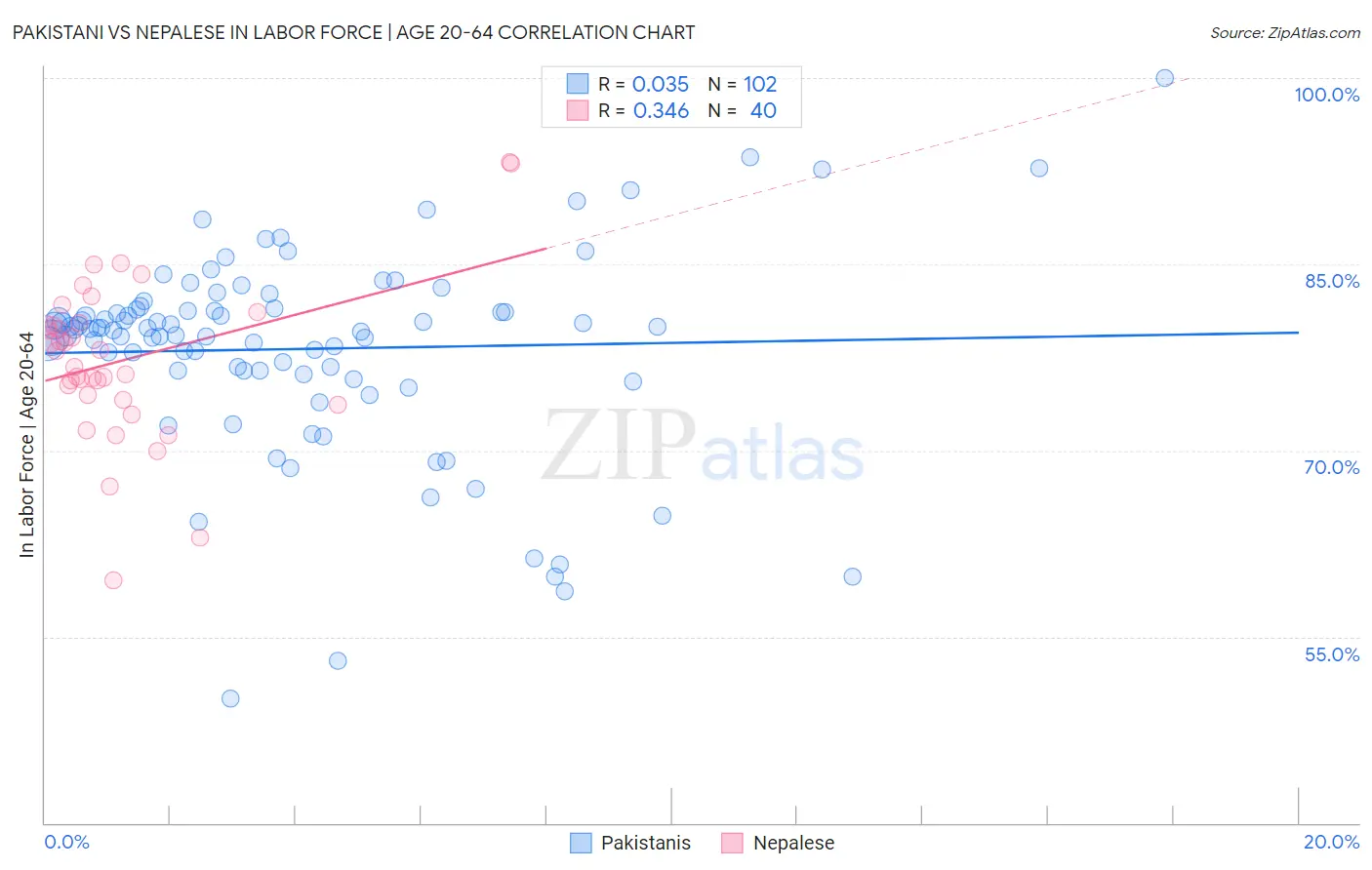 Pakistani vs Nepalese In Labor Force | Age 20-64