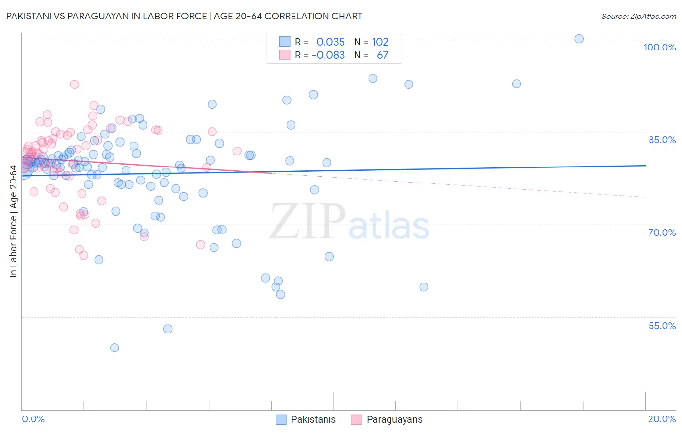 Pakistani vs Paraguayan In Labor Force | Age 20-64