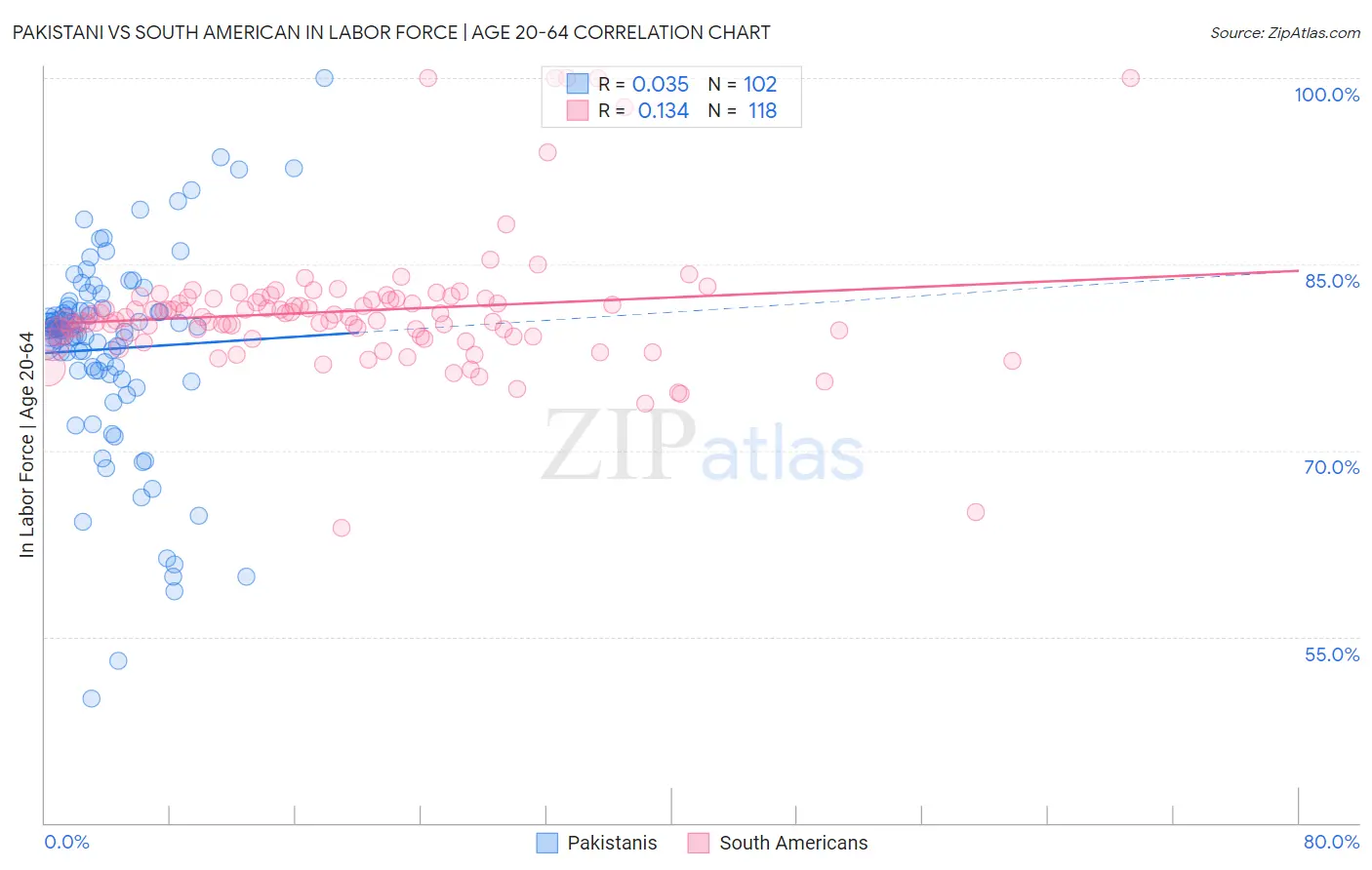 Pakistani vs South American In Labor Force | Age 20-64