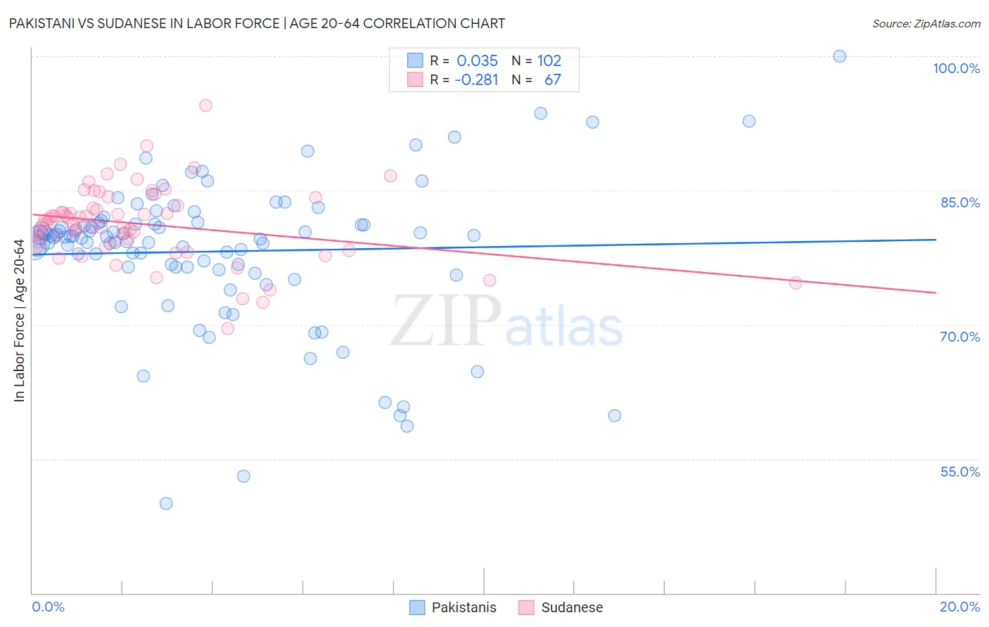 Pakistani vs Sudanese In Labor Force | Age 20-64