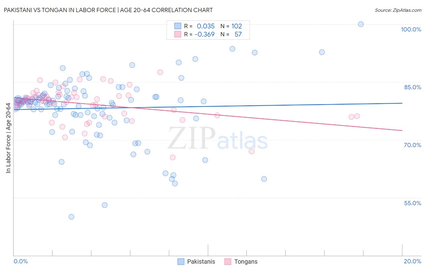 Pakistani vs Tongan In Labor Force | Age 20-64