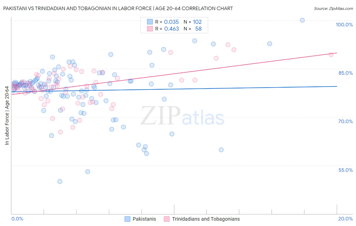 Pakistani vs Trinidadian and Tobagonian In Labor Force | Age 20-64