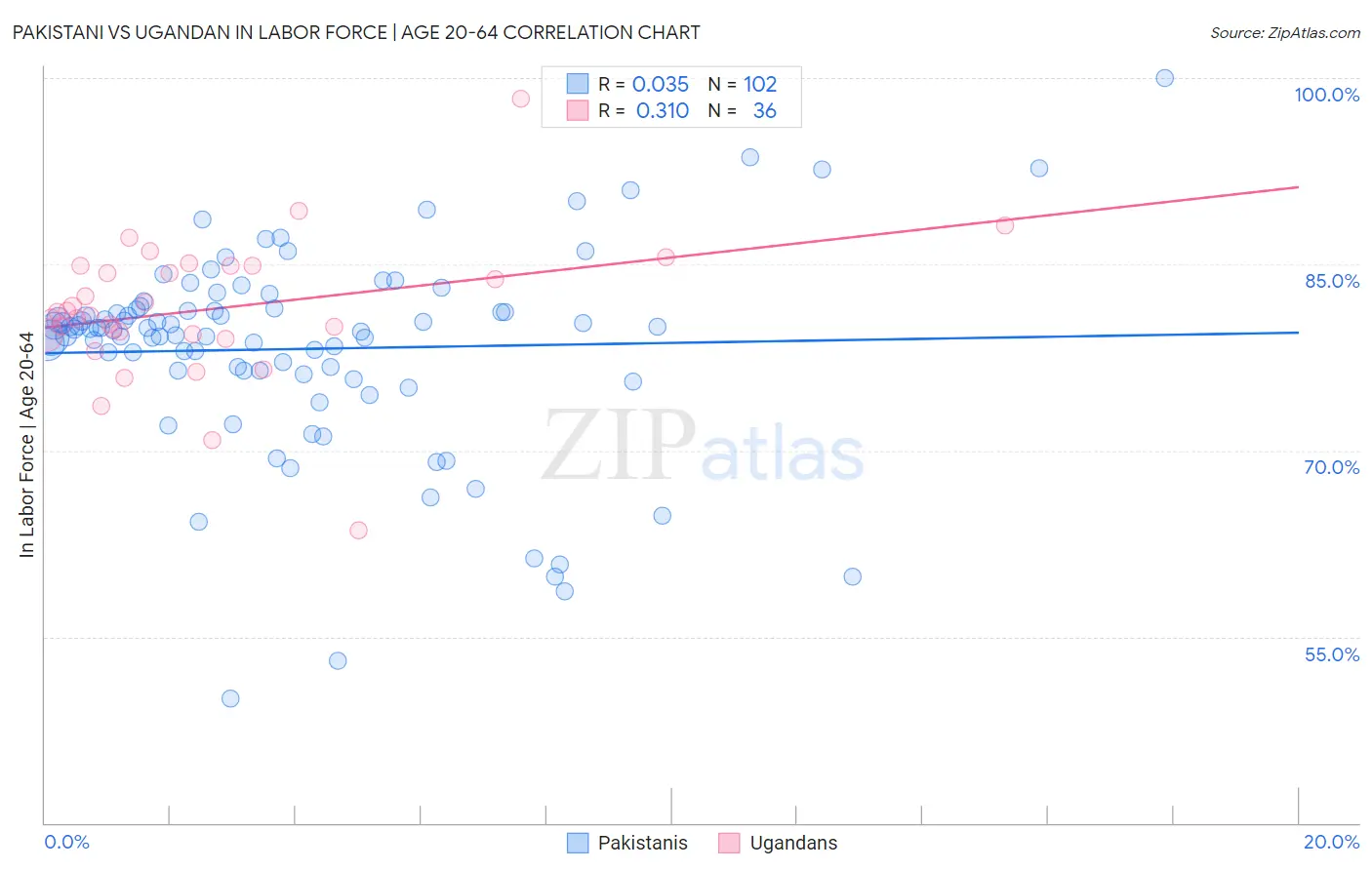 Pakistani vs Ugandan In Labor Force | Age 20-64