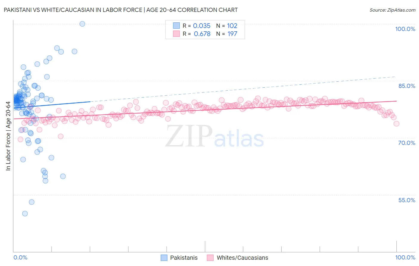 Pakistani vs White/Caucasian In Labor Force | Age 20-64