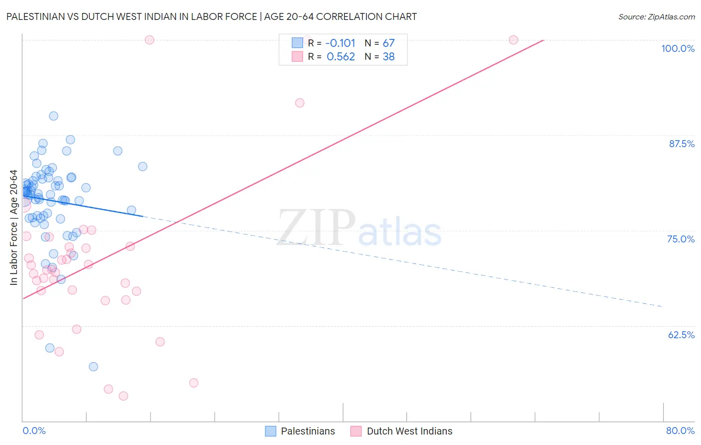 Palestinian vs Dutch West Indian In Labor Force | Age 20-64