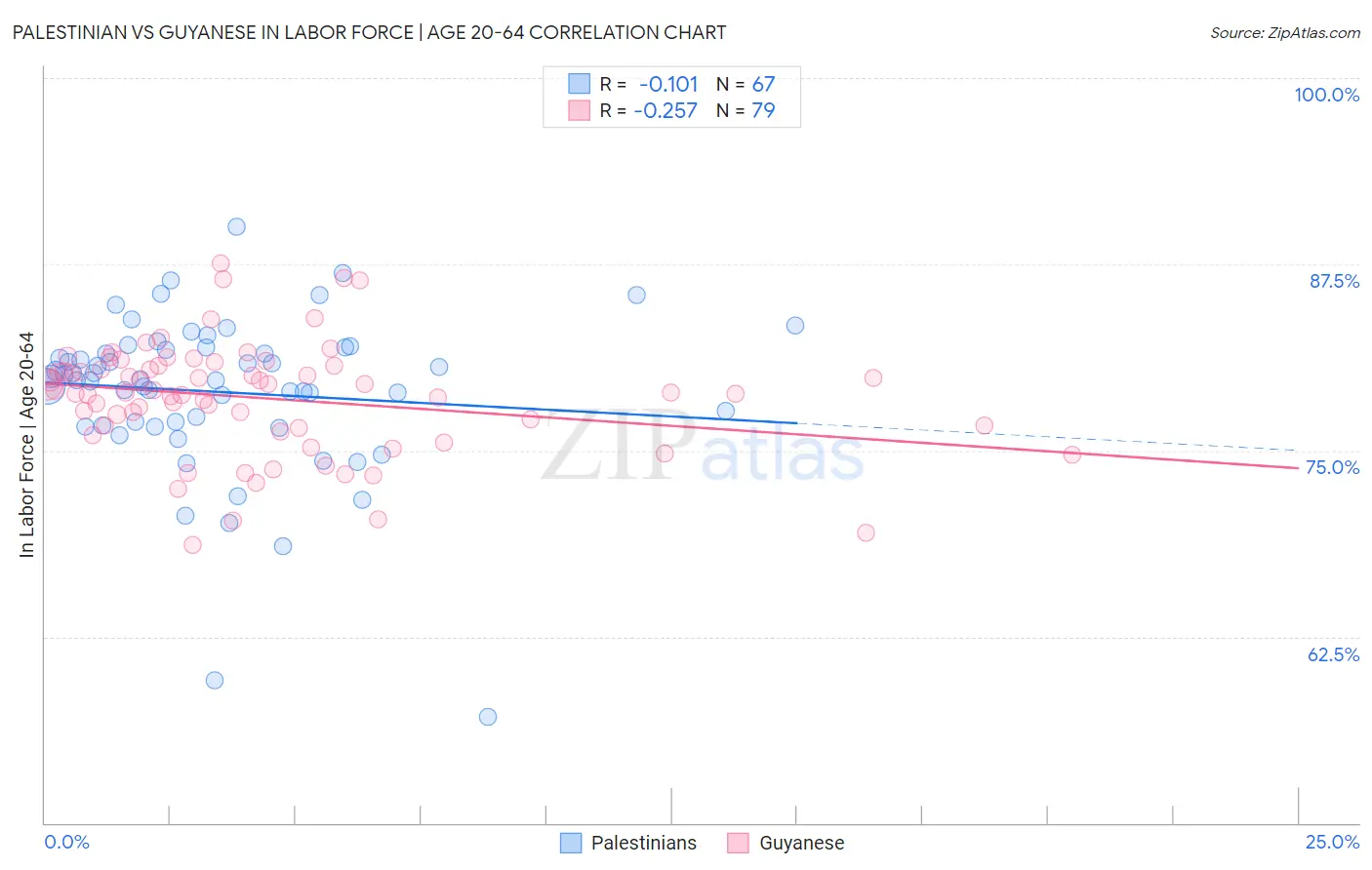 Palestinian vs Guyanese In Labor Force | Age 20-64
