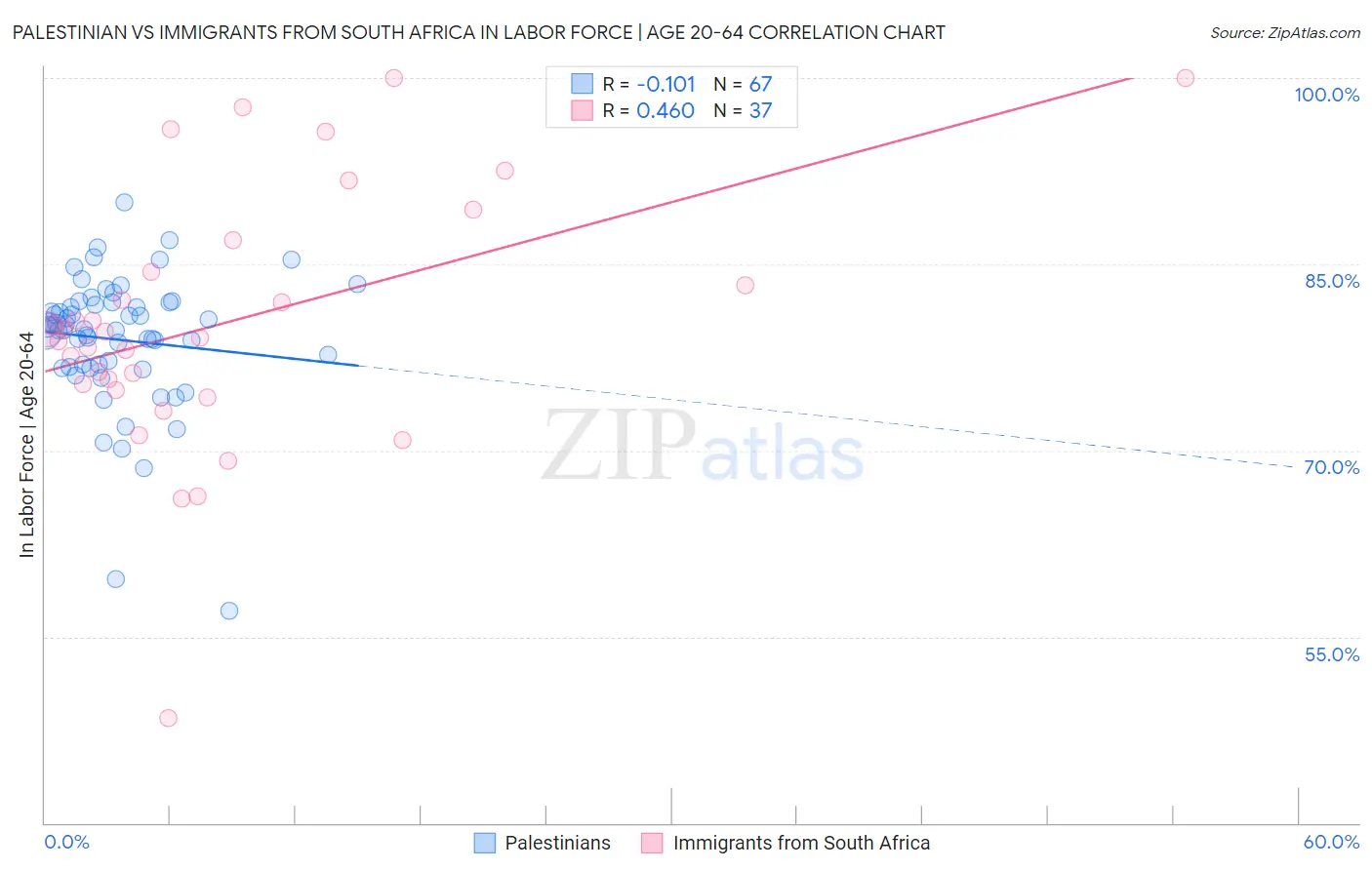 Palestinian vs Immigrants from South Africa In Labor Force | Age 20-64