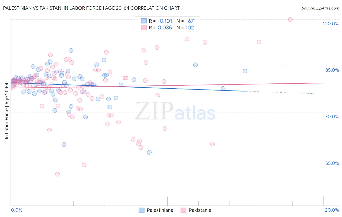 Palestinian vs Pakistani In Labor Force | Age 20-64