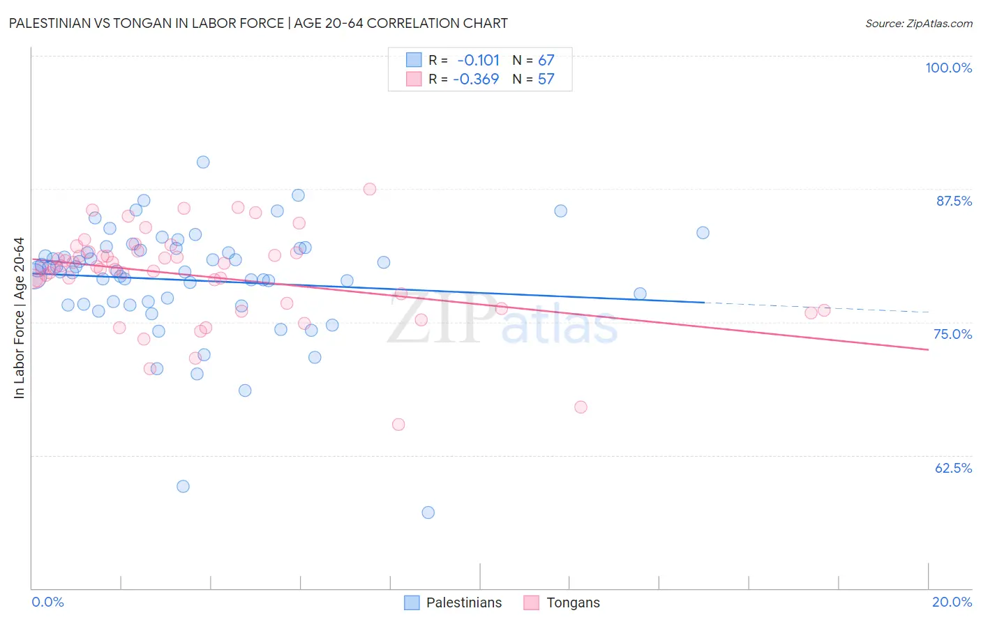 Palestinian vs Tongan In Labor Force | Age 20-64