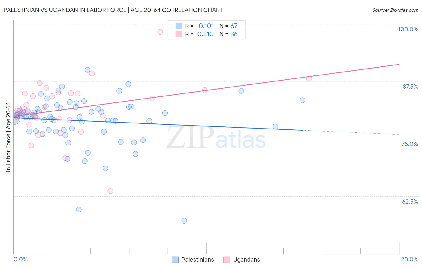 Palestinian vs Ugandan In Labor Force | Age 20-64