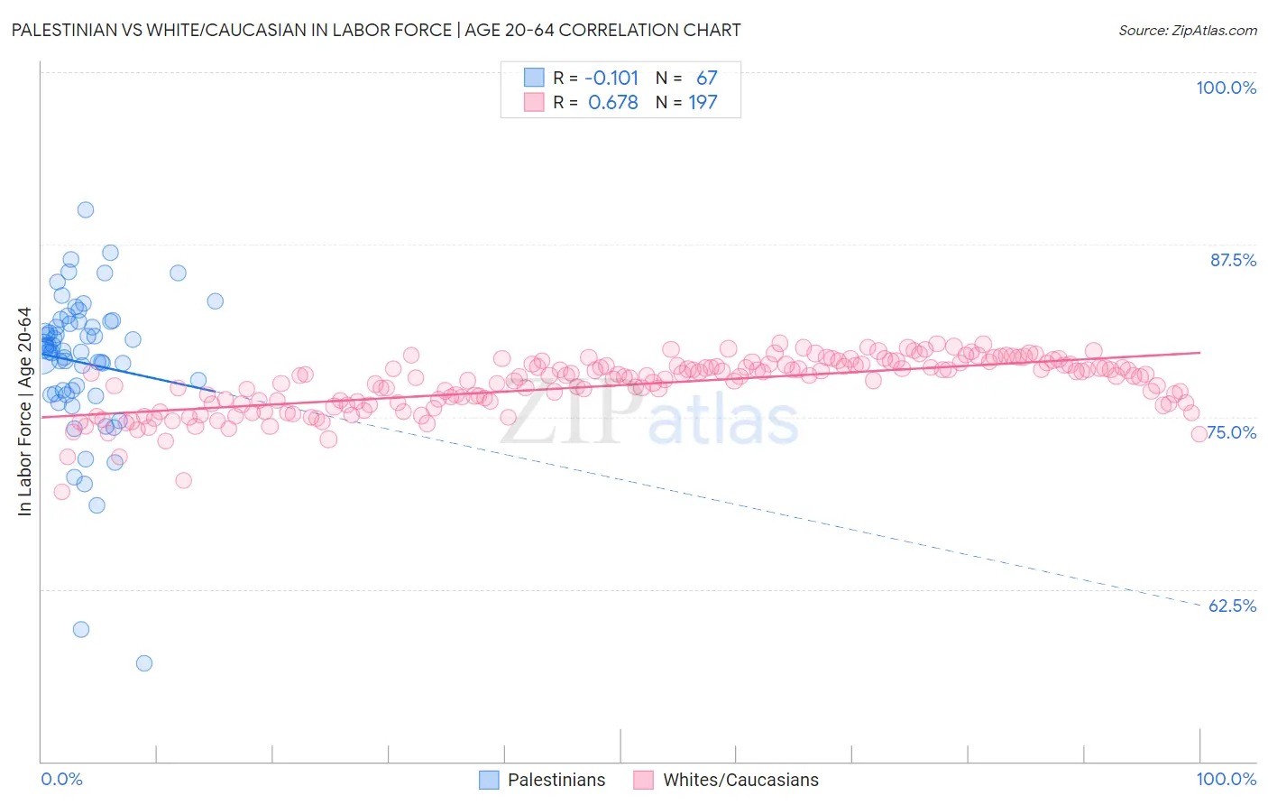 Palestinian vs White/Caucasian In Labor Force | Age 20-64
