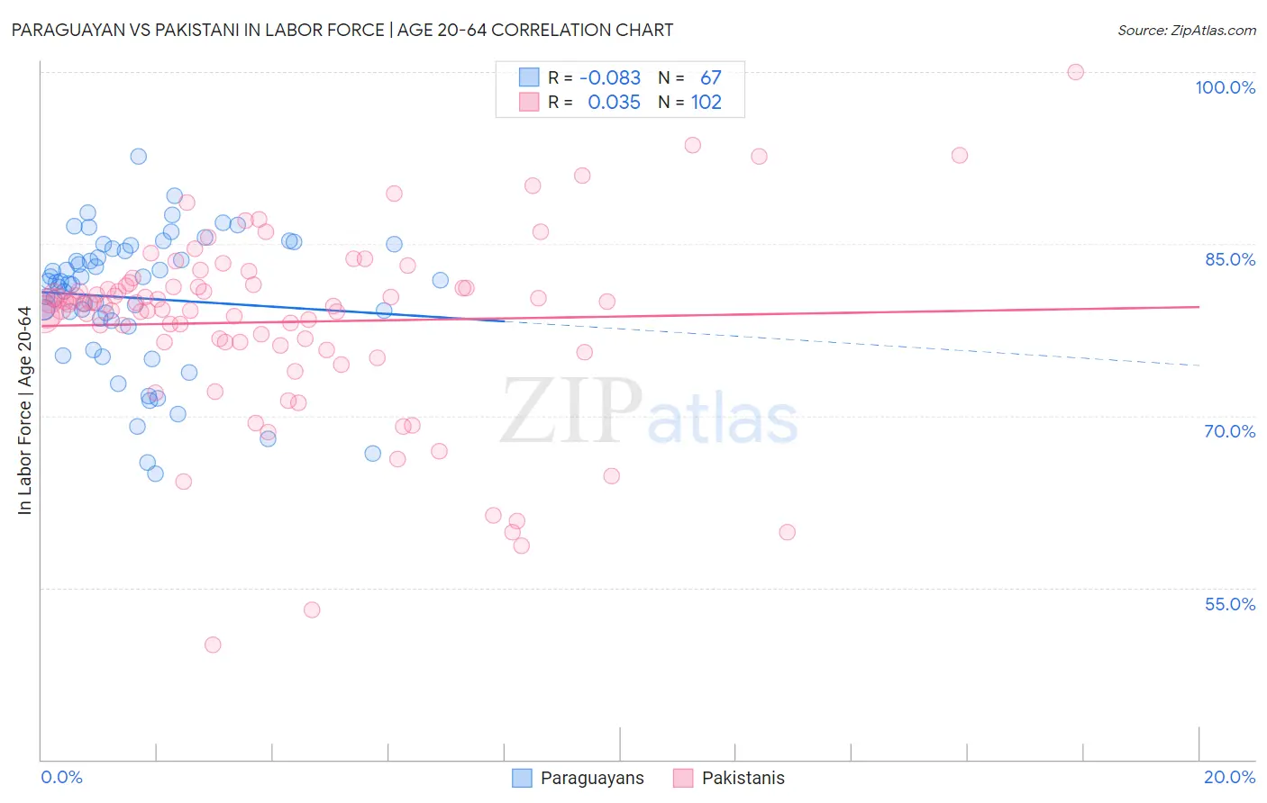 Paraguayan vs Pakistani In Labor Force | Age 20-64