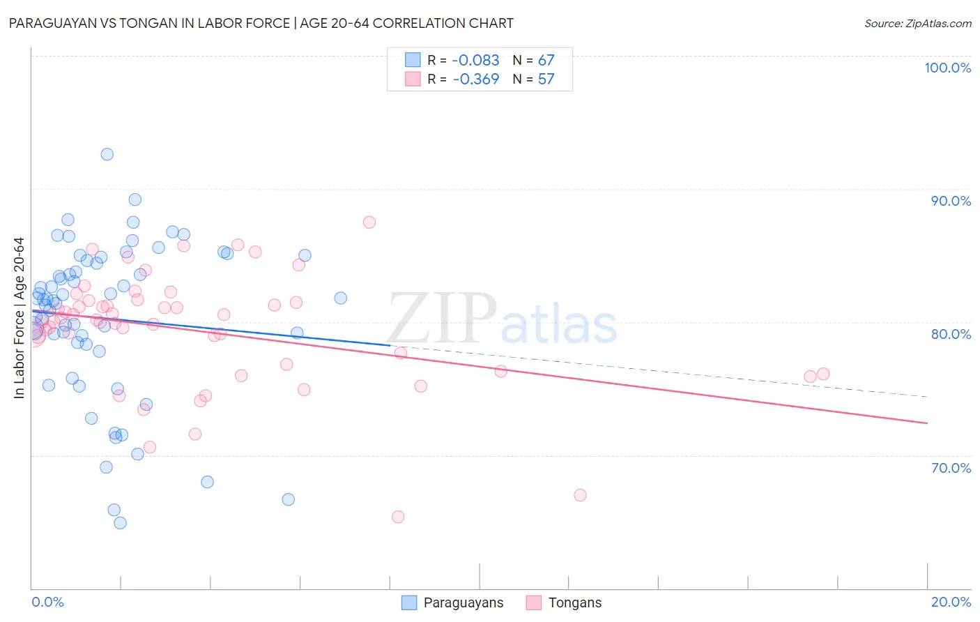 Paraguayan vs Tongan In Labor Force | Age 20-64