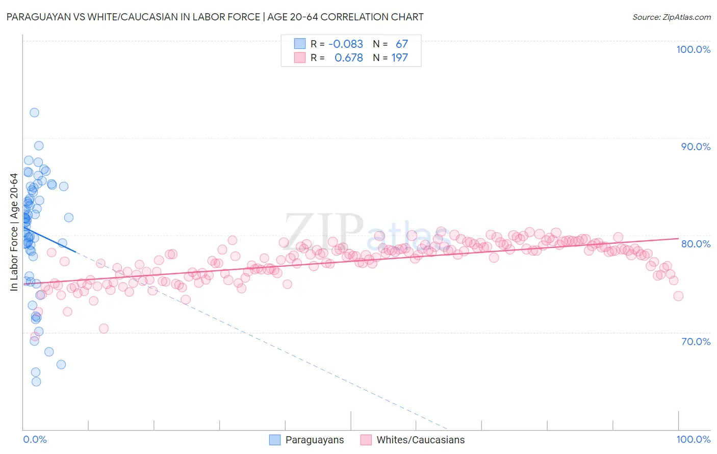 Paraguayan vs White/Caucasian In Labor Force | Age 20-64