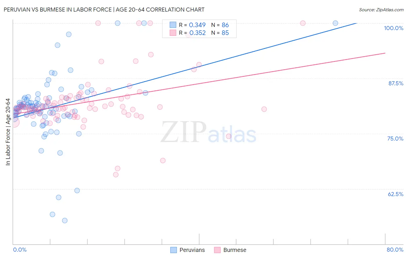 Peruvian vs Burmese In Labor Force | Age 20-64